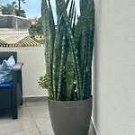 Apartman - Rosemary