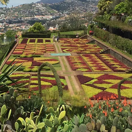 아파트 - Rosemary *