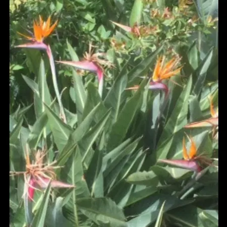 - Rosemary Appartement *