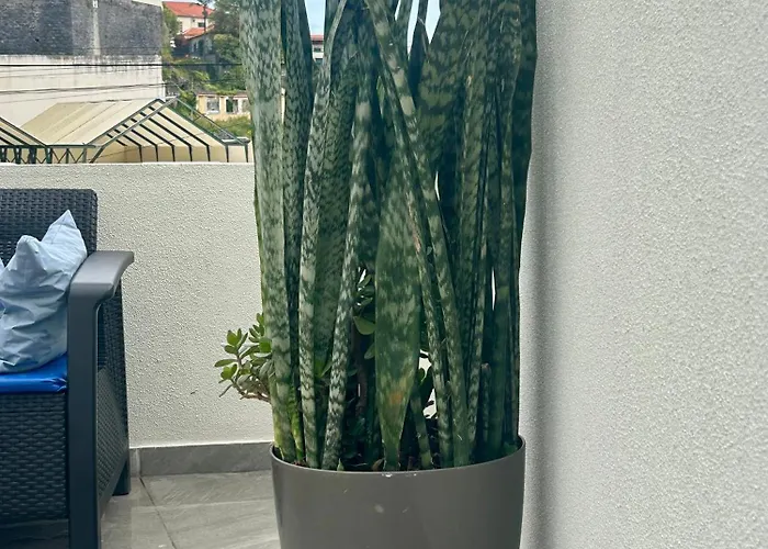 شقة - Rosemary